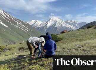 Botanist Wanted: Explore like Darwin and Search for Rare Plants news-06102024-091843