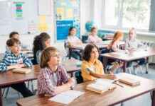 The Benefits of Neurotypical Students Learning Alongside Neurodiverse and Disabled Peers news-09102024-181536