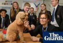 Using Dogs and Prize Draws to Encourage School Attendance in England and Wales news-28102024-222004