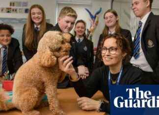 Using Dogs and Prize Draws to Encourage School Attendance in England and Wales news-28102024-222004