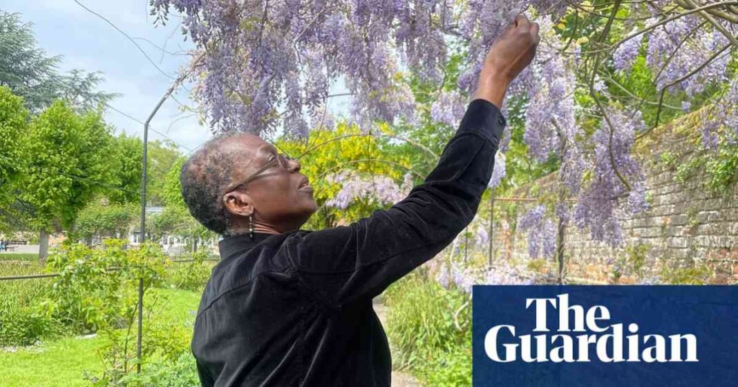 celebrating-the-life-of-claudette-williams-obituary-and-legacy