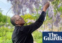 celebrating-the-life-of-claudette-williams-obituary-and-legacy