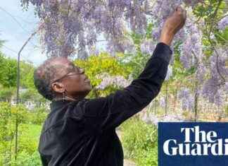 Celebrating the Life of Claudette Williams: Obituary and Legacy celebrating-the-life-of-claudette-williams-obituary-and-legacy