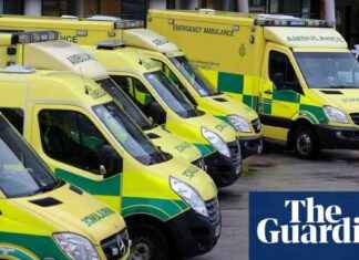 Auditor in UK Open to Learning from Elon Musk auditor-in-uk-open-to-learning-from-elon-musk