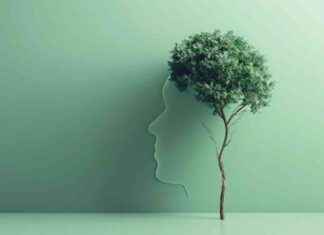 Fostering Growth Mindset in Student Data Reviewing fostering-growth-mindset-in-student-data-reviewing