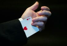 Blooket Cheats: Unlock Hidden Tricks To Dominate Every Game